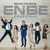 Unutma Beni Çiçekleri (feat. Burcu Güneş) artwork