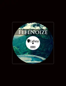 聆聽 FeelNoize、觀看音樂影片、閱讀小傳、查看巡演日期等！