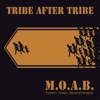 Tribe after tribe - Truth and reconciliation