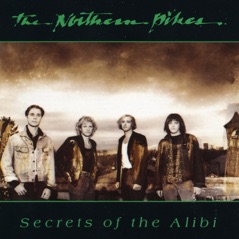 Secrets of the Alibi