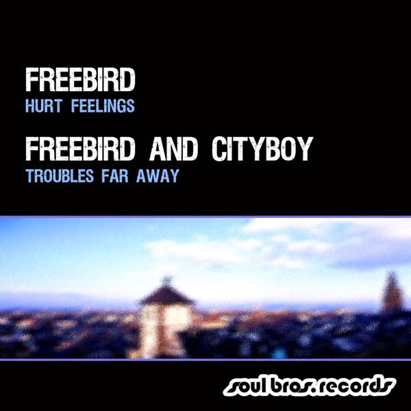 Hurt Feelings / Troubles Far Away - Single