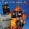 My Quadroon - Terry & The Hot Sox lyrics