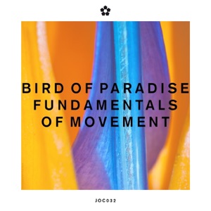 Fundamentals of Movement - Single