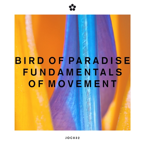 Fundamentals of Movement - Single