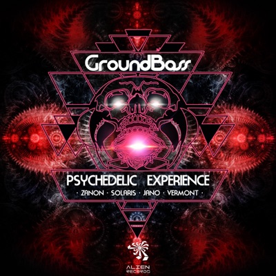 Psychedelic Experience - Single