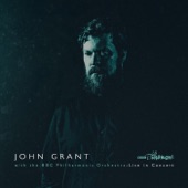 John Grant and the BBC Philharmonic Orchestra: Live in Concert artwork