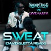 Wet (Snoop Dogg vs. David Guetta) [Extended Remix] cover art