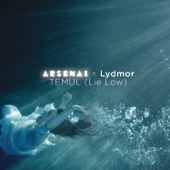 Temul (Lie Low) [feat. Lydmor] [Single Version]