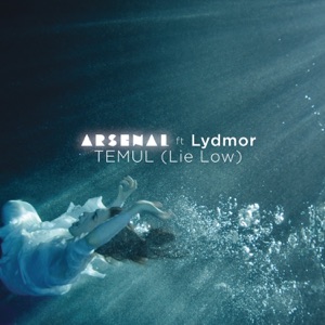Temul (Lie Low) - EP