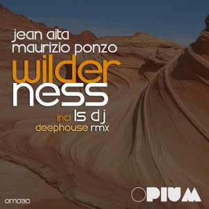 Wilderness - Single