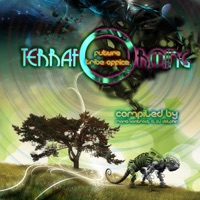 Desperados - Bouncing Souls