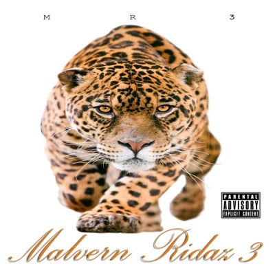 Malvern Ridaz 3