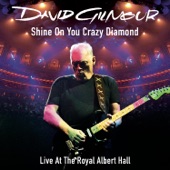 Shine On You Crazy Diamond, Pts. 1-5 (feat. David Crosby & Graham Nash) [Live at the Royal Albert Hall] - EP artwork