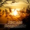 Ambient Music Therapy - Deep Sleep Music Maestro lyrics
