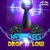 Drop It Low - Single