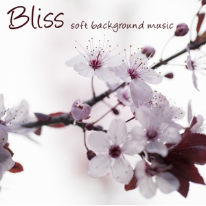 Bliss – Soft Background Music for Reiki, Zen Meditation and Devotion