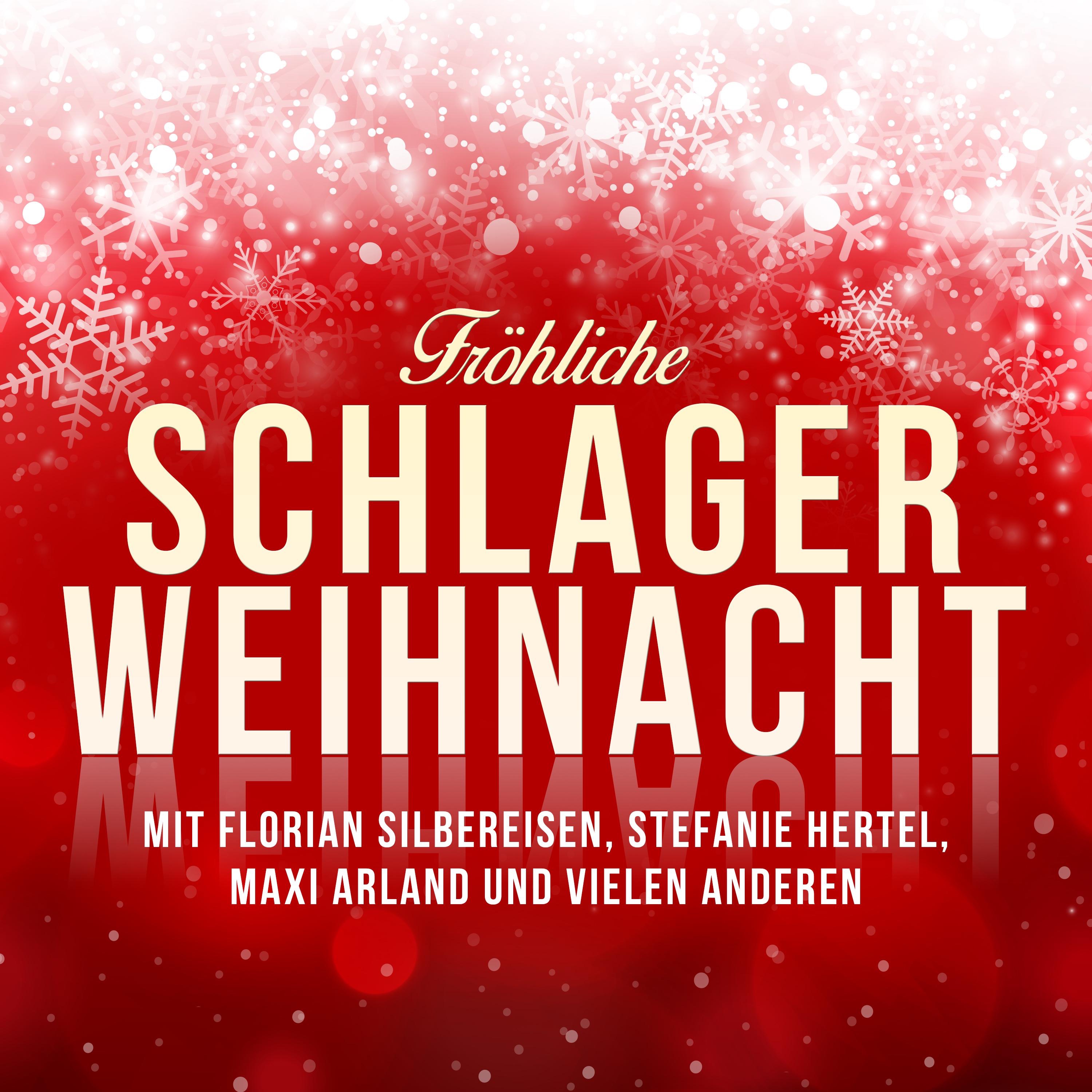 Fröhliche Schlager Weihnacht - Mit Florian Silbereisen, Stefanie Hertel, Maxi Arland und vielen anderen