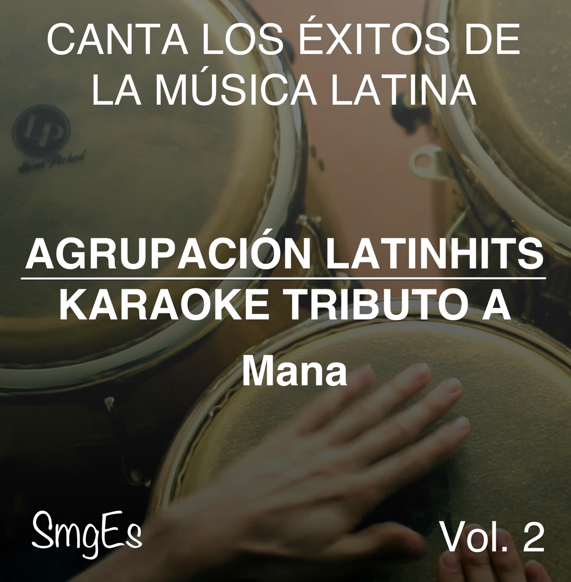Instrumental Karaoke Series: Tego Calderon (Karaoke Version) de Agrupacion  LatinHits en Apple Music