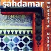 Şahdamar