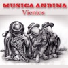 Música Andina - Vientos