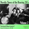 Novelty Tunes of the Roaring 20s, Vol. 2