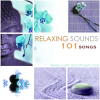 Relaxing Mindfulness Meditation Relaxation Maestro - Relaxing Sounds 101 - Keep Calm and Anxiety Free artwork