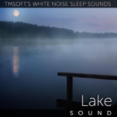 Lake Sound artwork