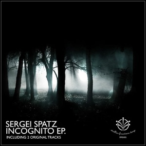 Incognito - Single