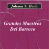ORCHESTRAL SUITE NO. 3 IN D MAJOR, BWV 1068: II. AIR