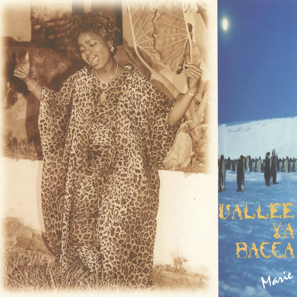Vallée ya bacca - Album by Marie Misamu - Apple Music