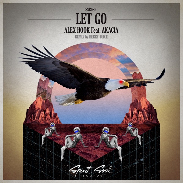 Let Go (feat. Akacia) - Single