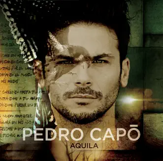 Pido Perdón by Pedro Capó song reviws