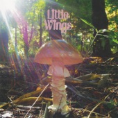 Little Wings - Sandy Babe