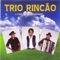 Homenagem a Tião Carreiro e Pardinho - Trio Rincão lyrics