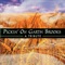 If Tomorrow Never Comes - Pickin' On Series lyrics