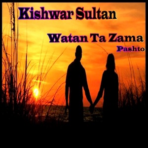 Watan Ta Zama