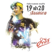 บันทึกการแสดงสดคอนเสิร์ต 19 เข้า 20 "เสือออกลาย" artwork