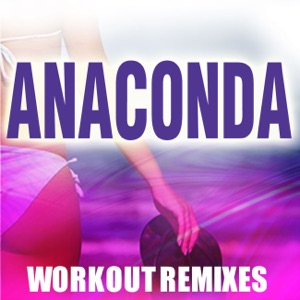Anaconda (Workout Remixes) - Single