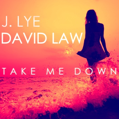 Take Me Down - Single