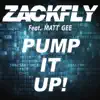 Zackfly - Pump It Up! (feat. Matt Gee) [Extended Mix]