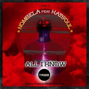All I Know (feat. Kaysoul)