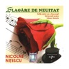 Nicolae Nitescu - Cand felinarele se-aprind
