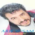 Bir Gunes Batisinda