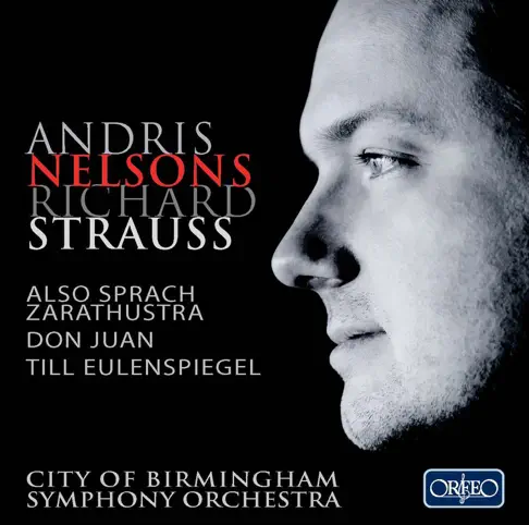 ミュージック The Richard Strauss Collection R. Strauss: Also sprach Zarathustra, Op. 30, TrV 176 by Andris