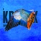 One Last High - Pleasurekraft, Jaceo & Vedic lyrics