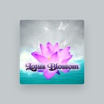 Chakra Relaxation Oasis