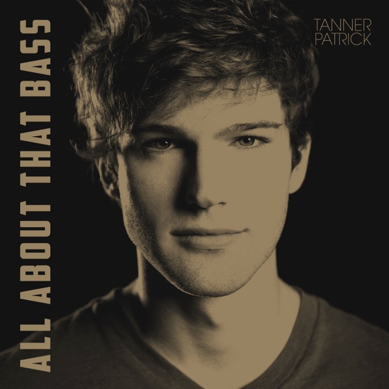Cover artwork for All About That Bass