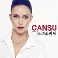 Ne Değişti Ki - Single - Cansu Kurtcu