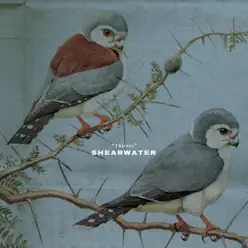 Thieves - EP - Shearwater