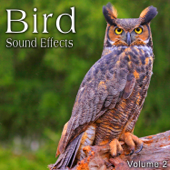 Bird Sound Effects, Vol. 2 - The Hollywood Edge Sound Effects Library
